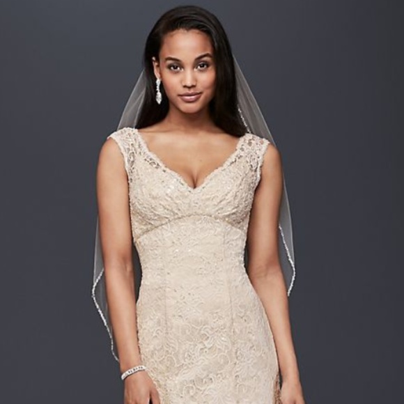 David's Bridal Wedding Dress - Picture 5 of 5